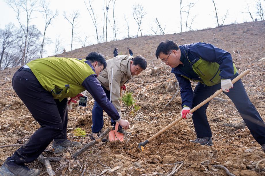 증평군, 제81회 식목일 기념 맞아 4500그루 소나무 식재