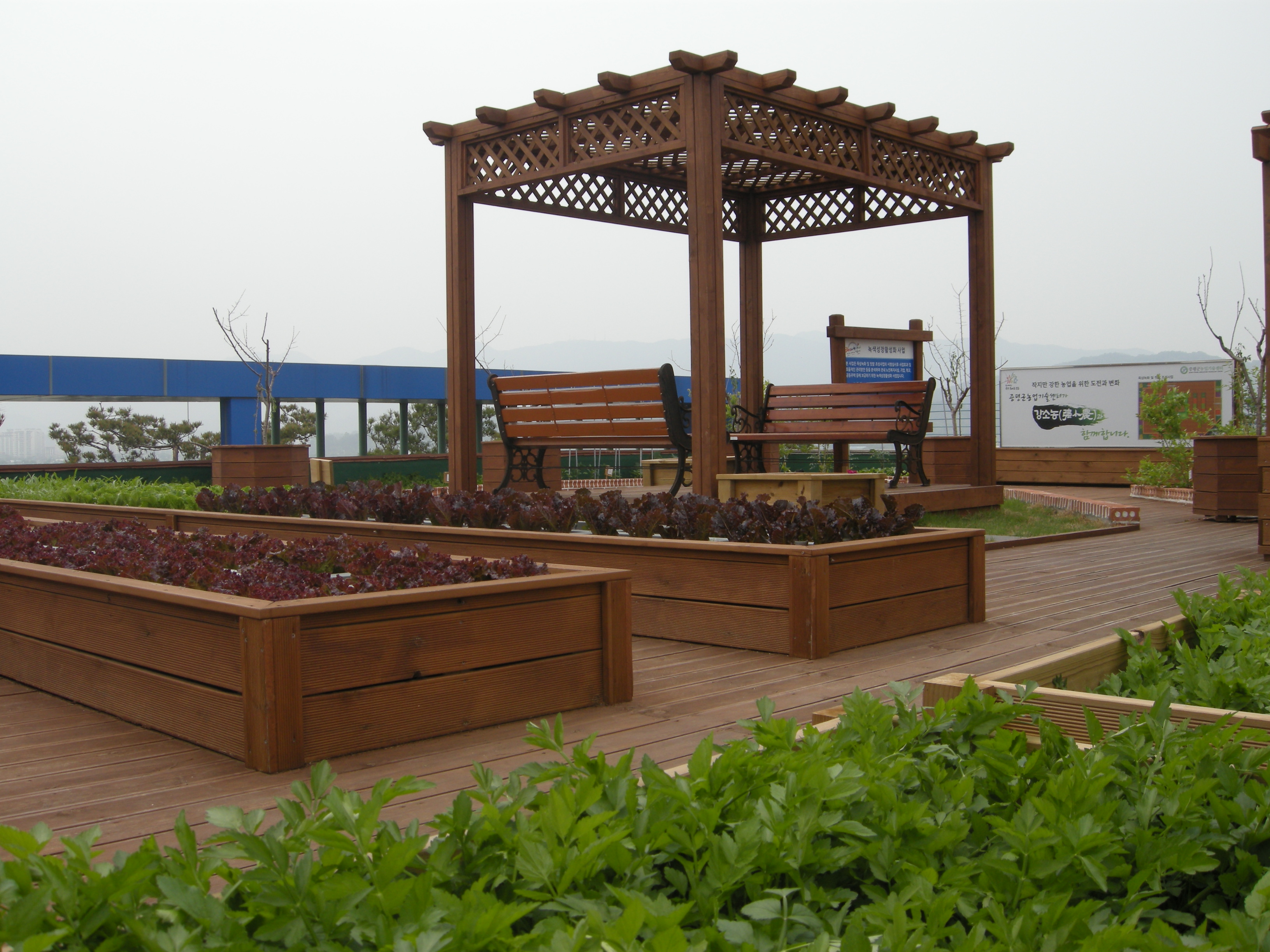 증평군농업기술센터, 옥상 텃밭 휴식공간 호응
