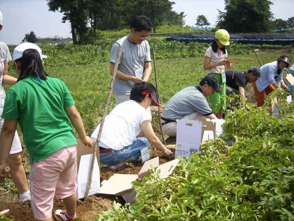 증평 증안골정보화마을, 가족형 주말농장 분양