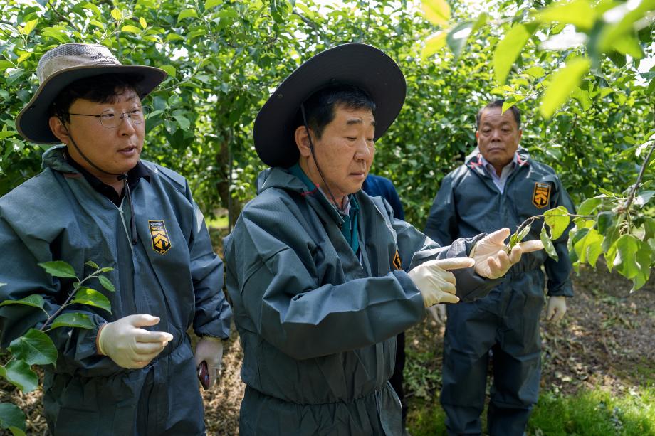 증평군농업기술센터, 과수화상병 확산 차단 총력...예방부터 예찰까지 촘촘히 대응
